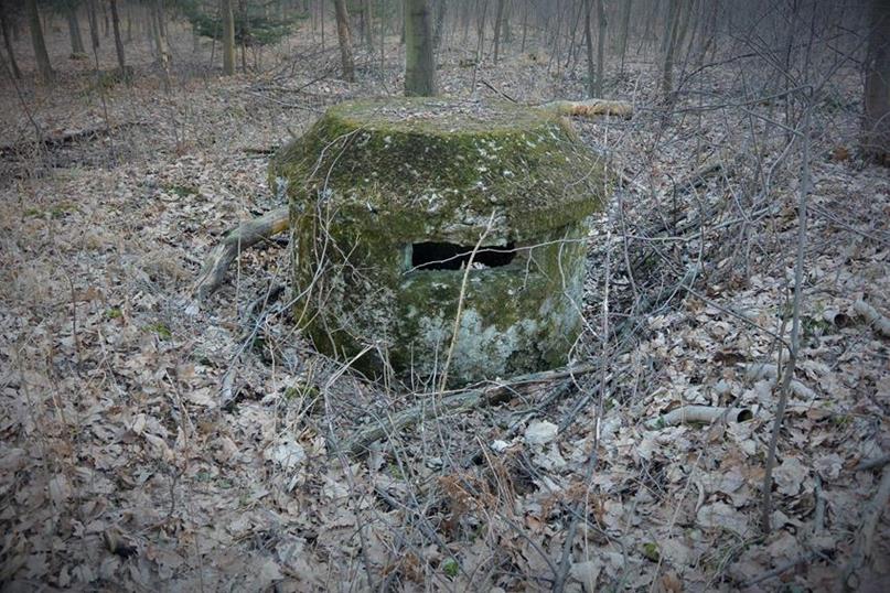 Nie lubię tego kochbunkra! (2).JPG