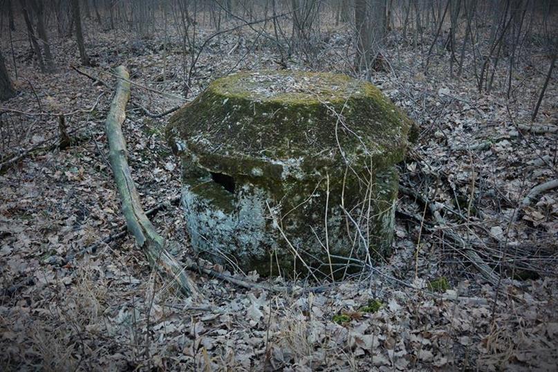 Nie lubię tego kochbunkra! (3).JPG