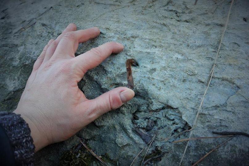 Kochbunker z uchwytami na siatkę maskującą (3).JPG