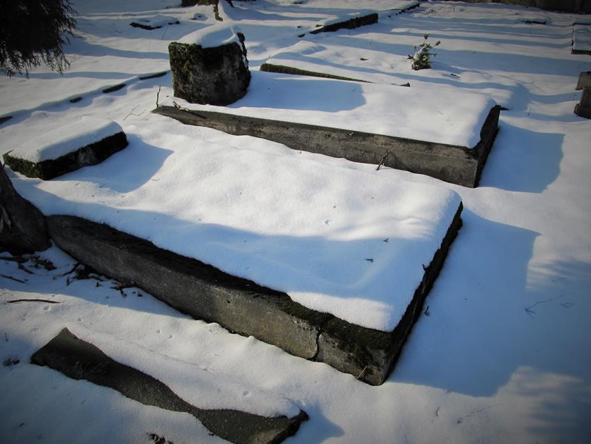 Ustroń - cmentarz żydowski (5).jpg