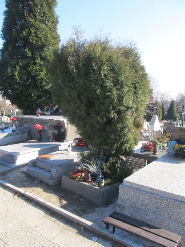 Sosnowiec - grób Nieznanego Żołnierza (2).jpg