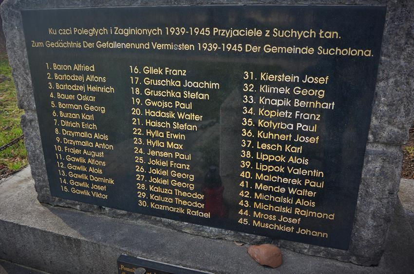 Pomnik poświęcony pamięci ofiar obu wojen światowych (4).JPG