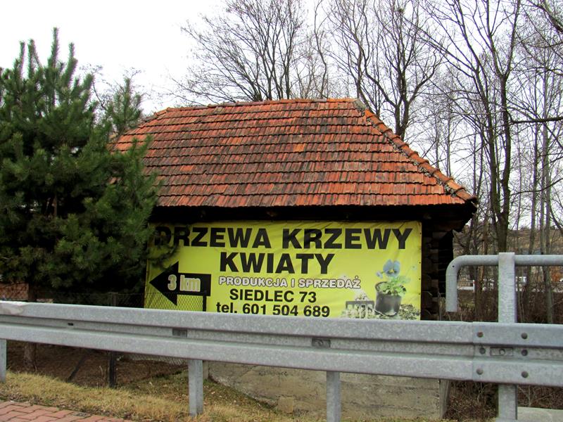 1. Łapczyca.JPG