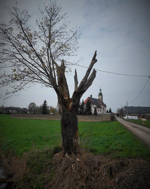 Krzyż w miejscu śmierci Hieronima Włodarza (5).JPG