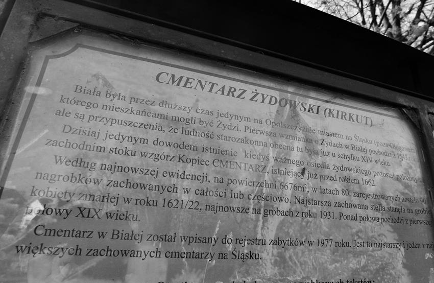 Cmentarz żydowski (2).JPG