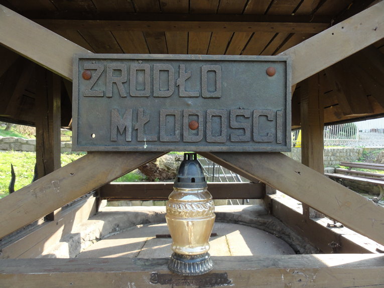 Zrodelko Mlodosci w Reptach (3).jpg