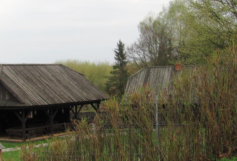 9. Niepołomice - skansen.JPG