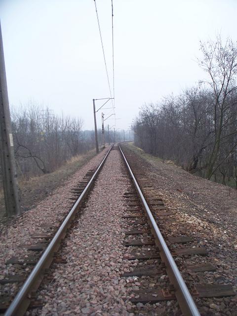 Obok ciągnie się nasyp kolejowy.JPG