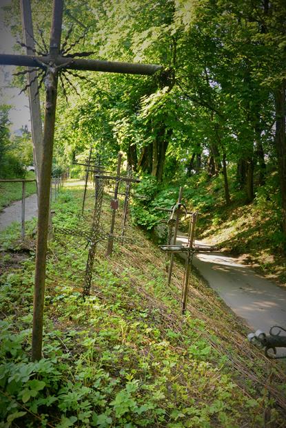 Górka Kościelnicka - krzyże zbierane przez księdza Józefa Hojnowskiego (3).JPG