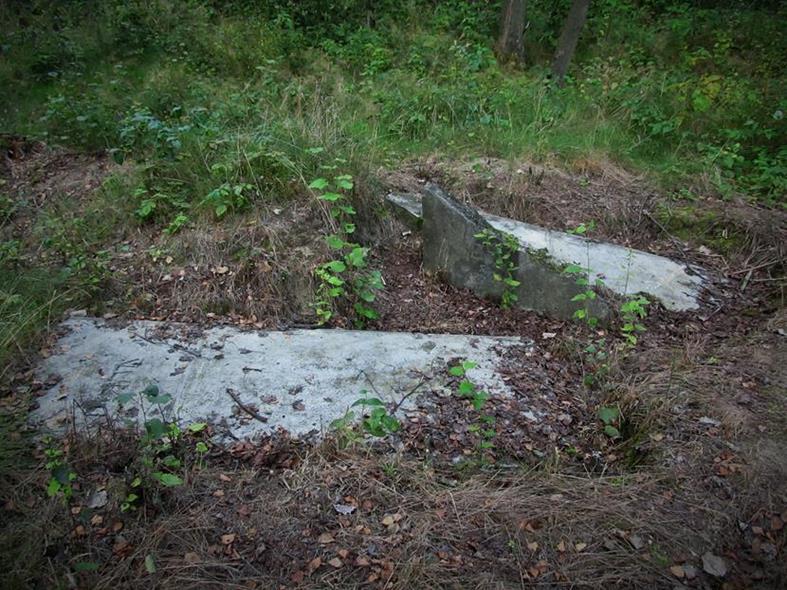Nowy cmentarz żydowski w Żarnowcu (18).jpg