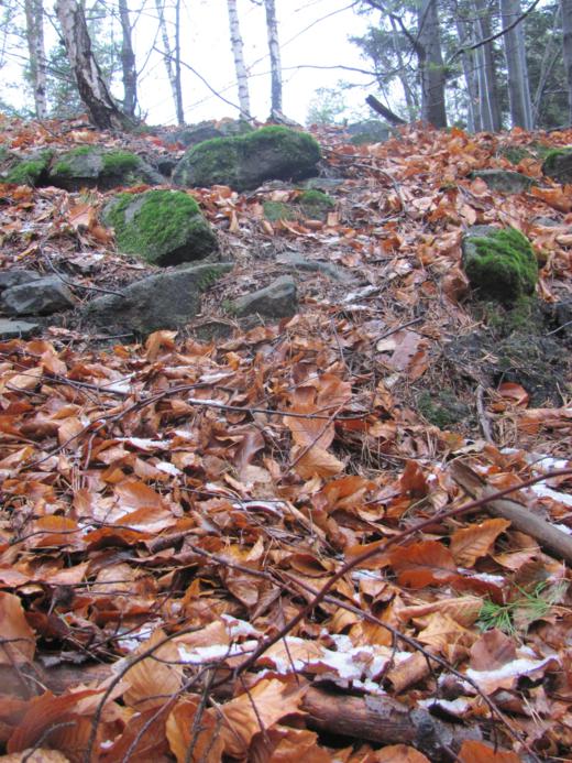 Wały grodziska wykonano z kamienia (2).JPG