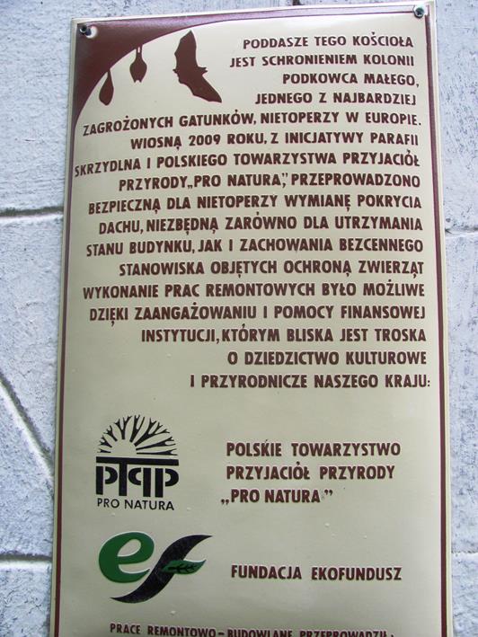 15. Skrzydlna.JPG