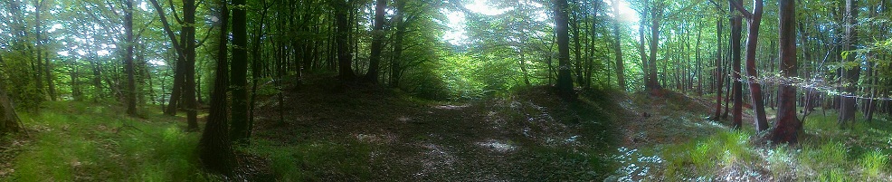 Gąszczyk - grodzisko - panorama.jpg