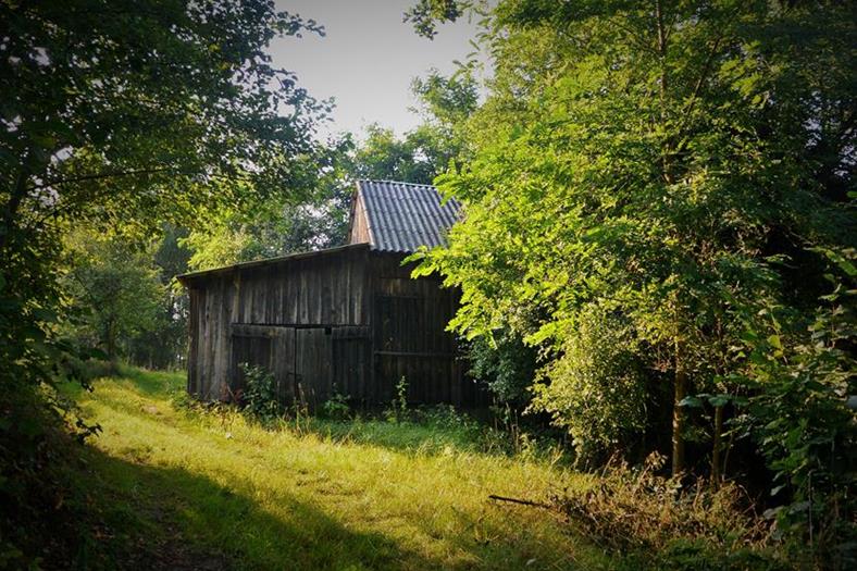 Lelów - stare stodoły (16).JPG