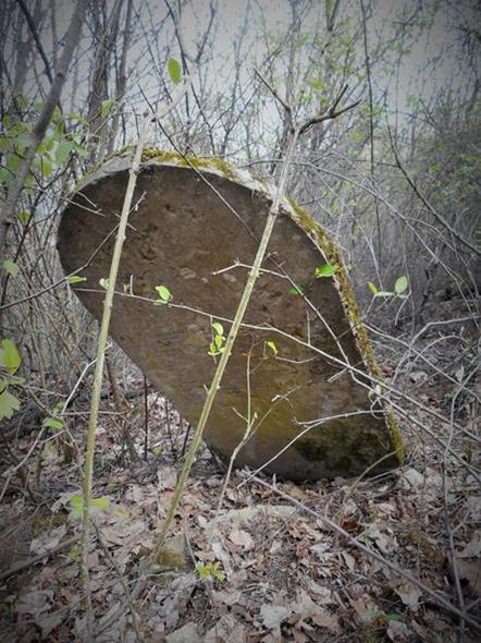 Cmentarz żydowski w Chęcinach (9).JPG