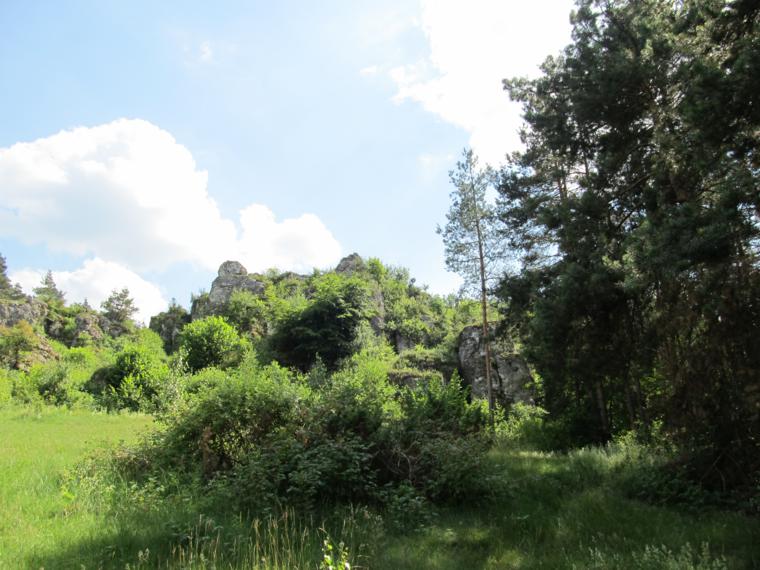 Góra Słupsko - widok na skalny ogrójec z grodziskiem na szczycie od północy.jpg