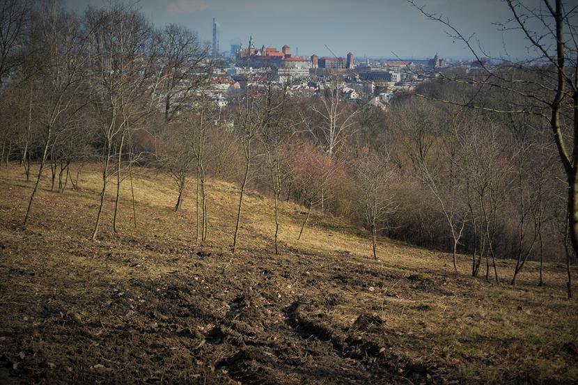 Z widokiem na Wawel.JPG