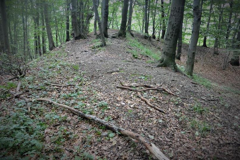 Główny człon grodziska i otaczające go wały (2).JPG