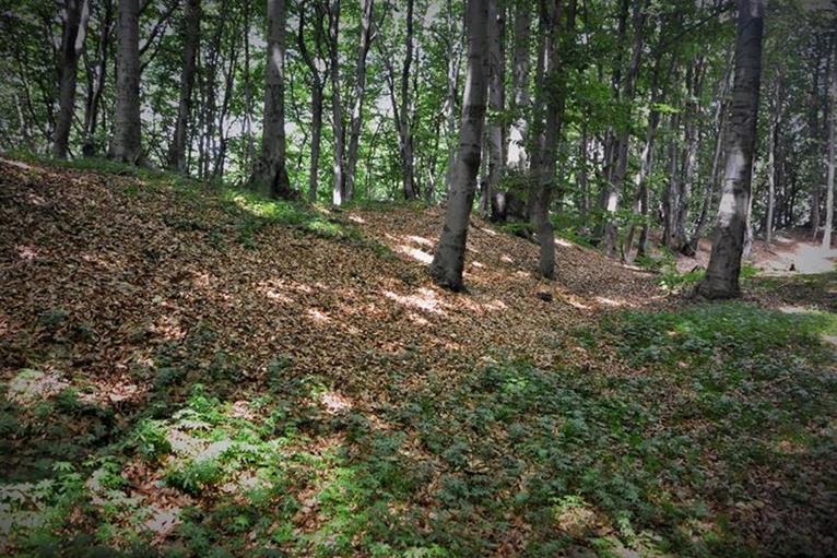 Główny człon grodziska i otaczające go wały (4).JPG