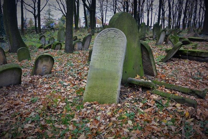 Na cmentarzu żydowkim (36).JPG