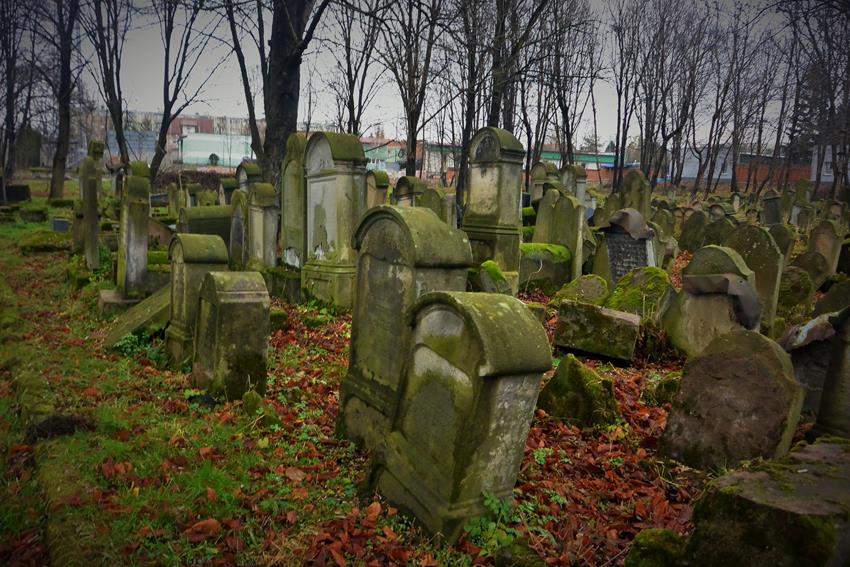 Cmentarz żydowski w Tarnowie (1).JPG