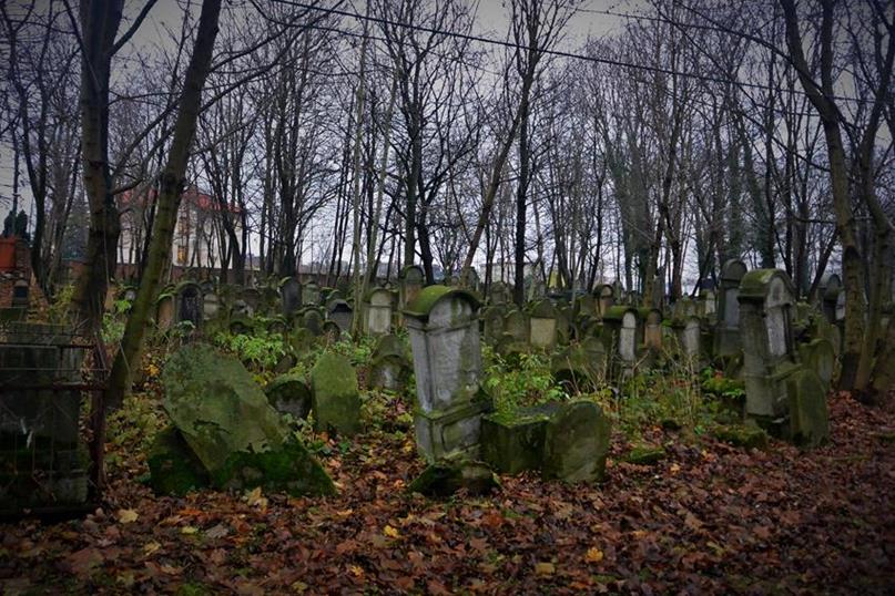 Cmentarz żydowski w Tarnowie (5).JPG