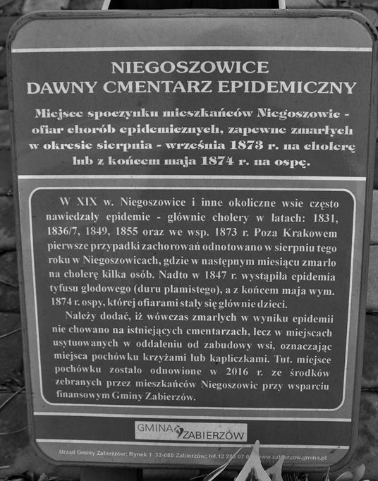 Cmentarz epidemiczny (4).JPG