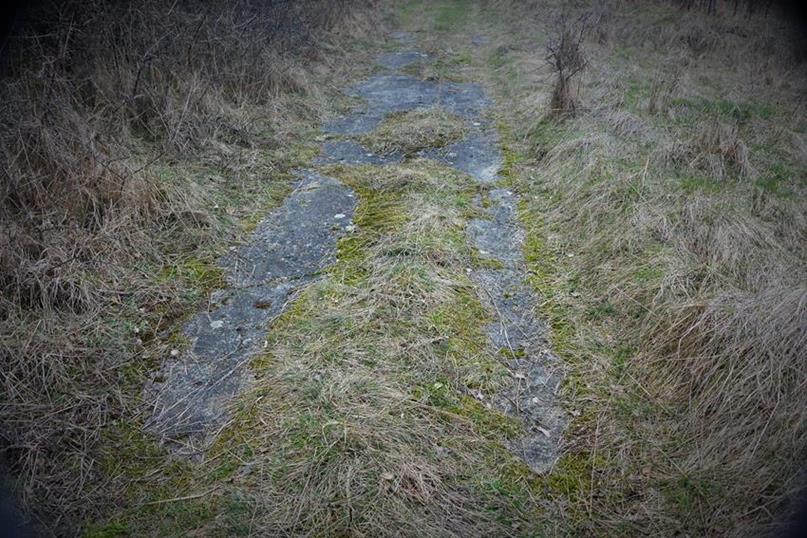 Droga w okolicach partii szczytowej wzgórza (2).JPG