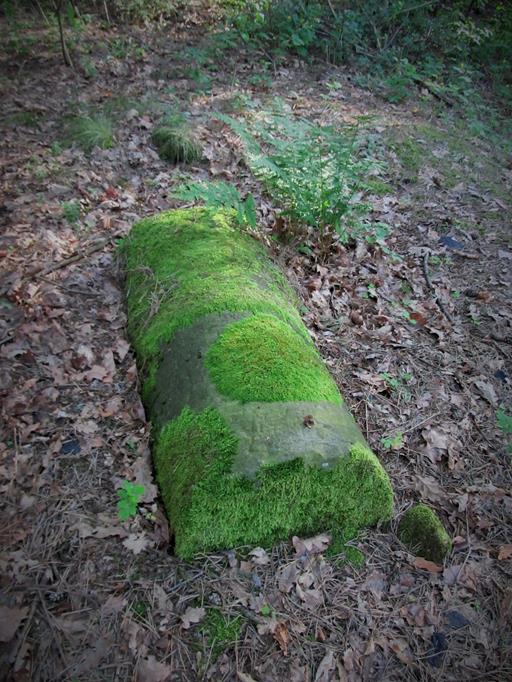 Pławno - cmentarz żydowski (12).jpg