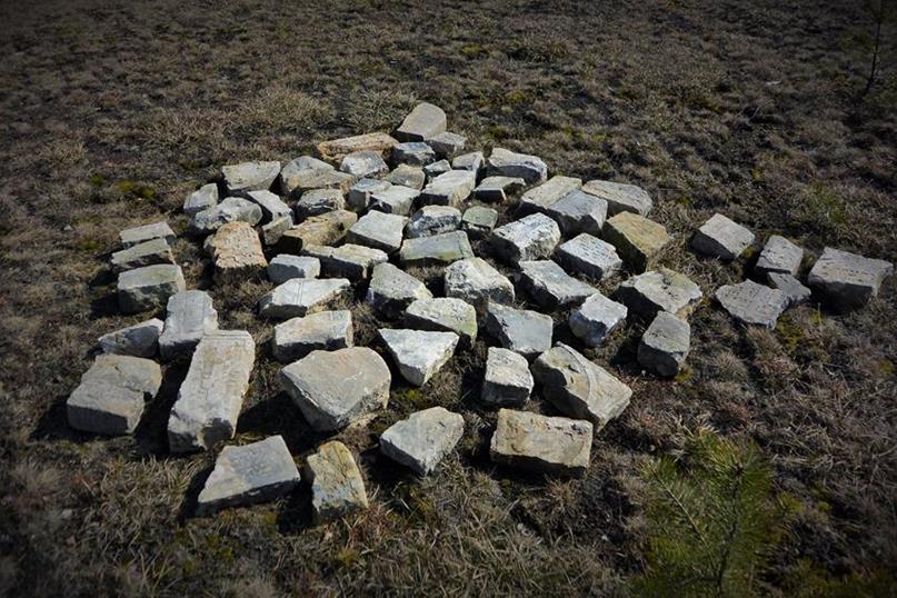 Widok ogólny lapidarium na nowym cmentarzu żydowskim (2).JPG