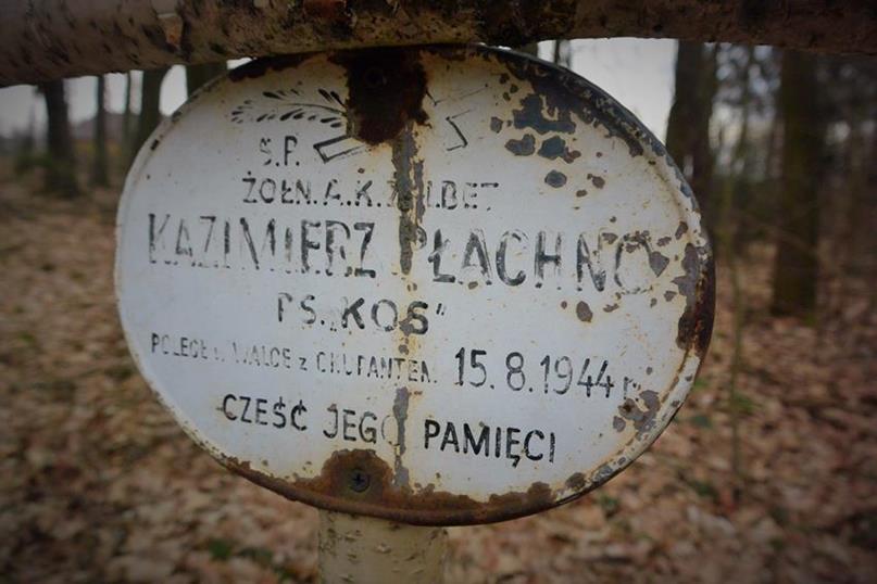 Kazimierz Płachno (5).JPG