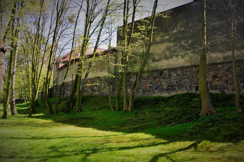 Dawne mury miejskie i fosa, którą biegnie ulica Drzymały.JPG