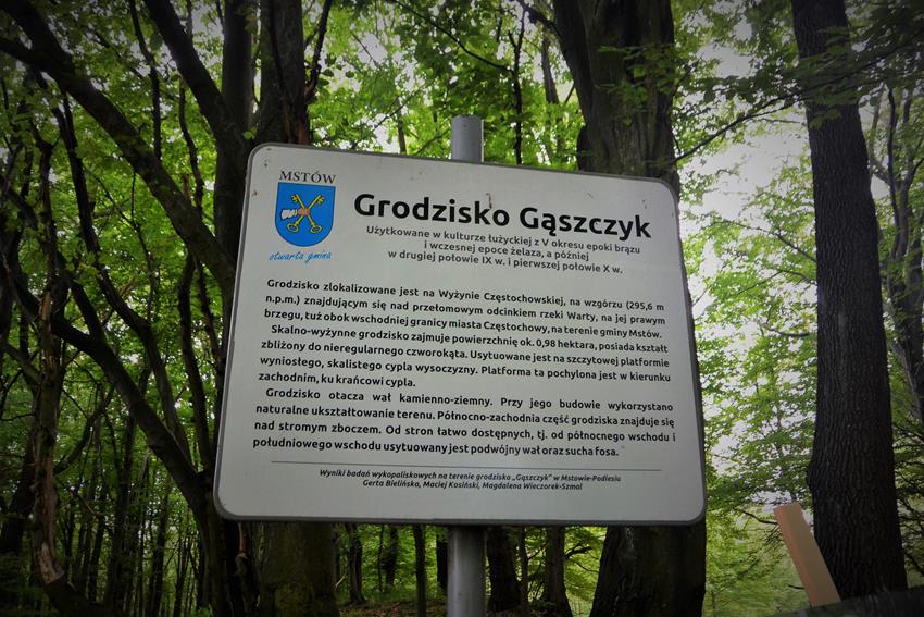 Grodzisko (1).JPG