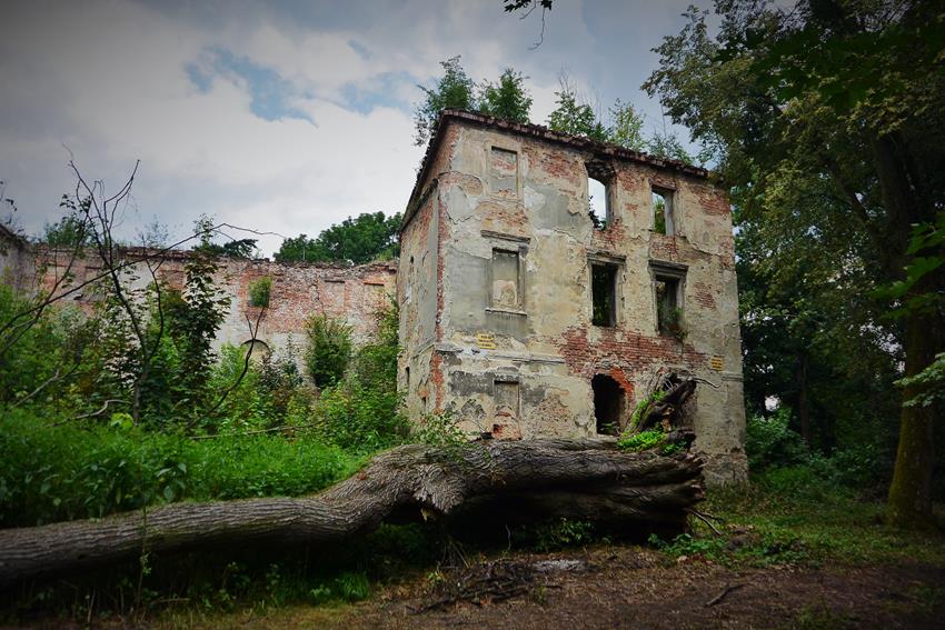 Zamek w Chrzelicach wiosną 2018 roku (8).JPG