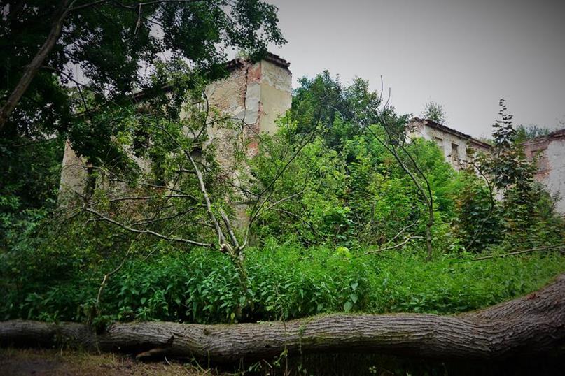 Zamek w Chrzelicach wiosną 2018 roku (9).JPG