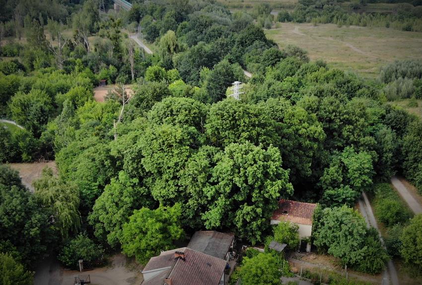 Cmentarz w Krapkowicach z lotu ptaka - czerwiec 2018.JPG