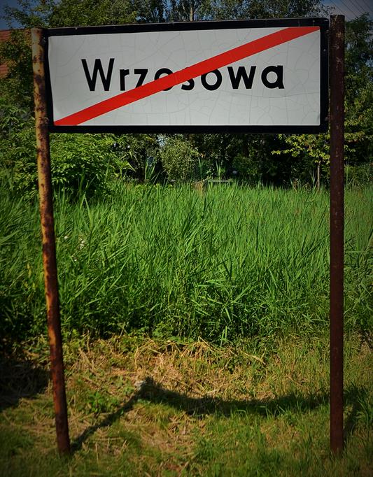 Wrzosowa (1).JPG