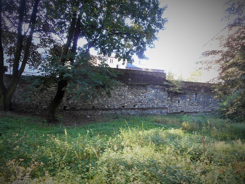 Zachowany fragment muru (5).JPG