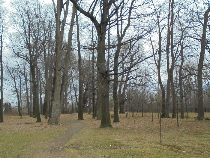 Kobiernice  park.JPG