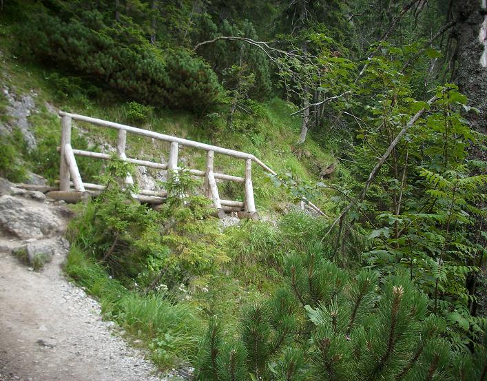 10. Tatry - mostki.JPG