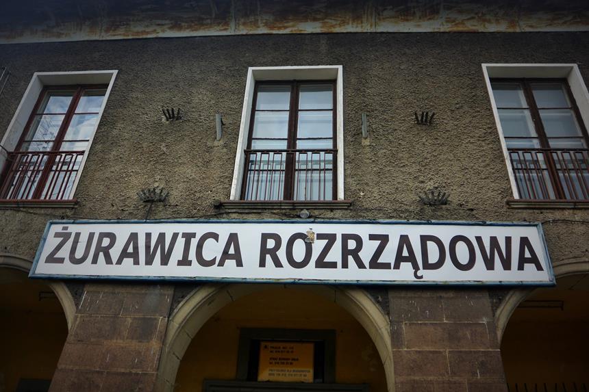 Żurawica Rozrządowa (1).JPG