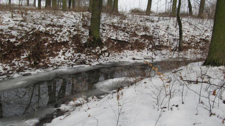 Widok z majdanu grodziska na fosę.jpg