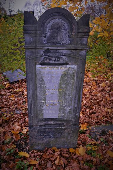 Cmentarz żydowski w Zawierciu (14).JPG