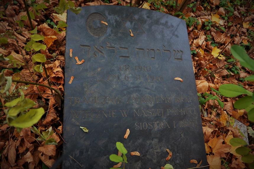Cmentarz żydowski w Zawierciu (16).JPG