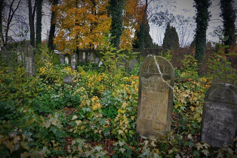 Cmentarz żydowski w Zawierciu (21).JPG