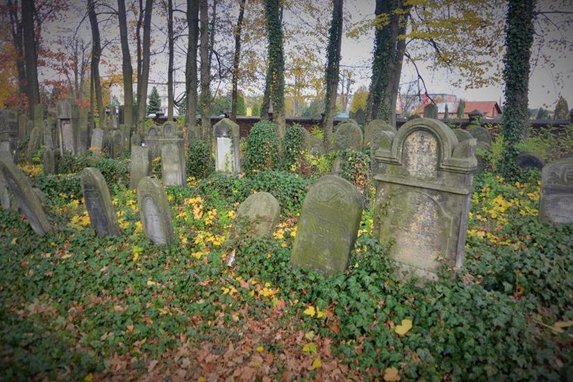 Cmentarz żydowski w Zawierciu (31).JPG