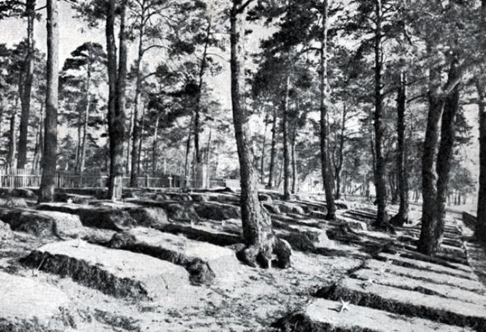 Cmentarz jeńców radzieckich  na Borku Fałęckim - ze zbiorów Fotopolska.jpg