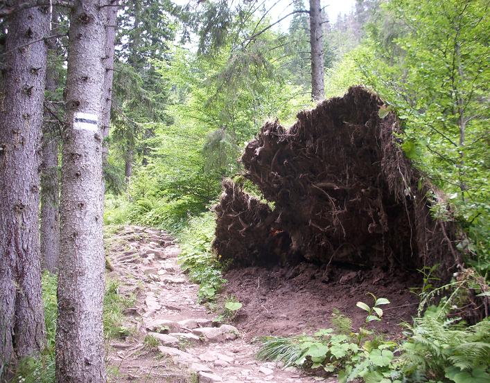 12. Tatry.JPG