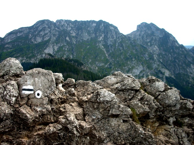 3. Giewont z Sarniej Skaly.jpg