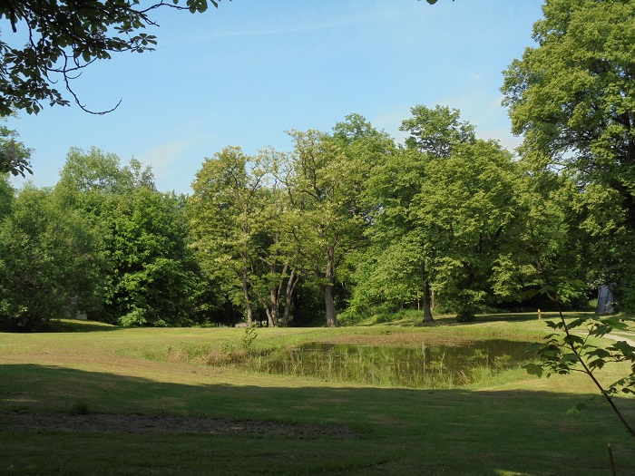 Wieruszyce dwor park.JPG